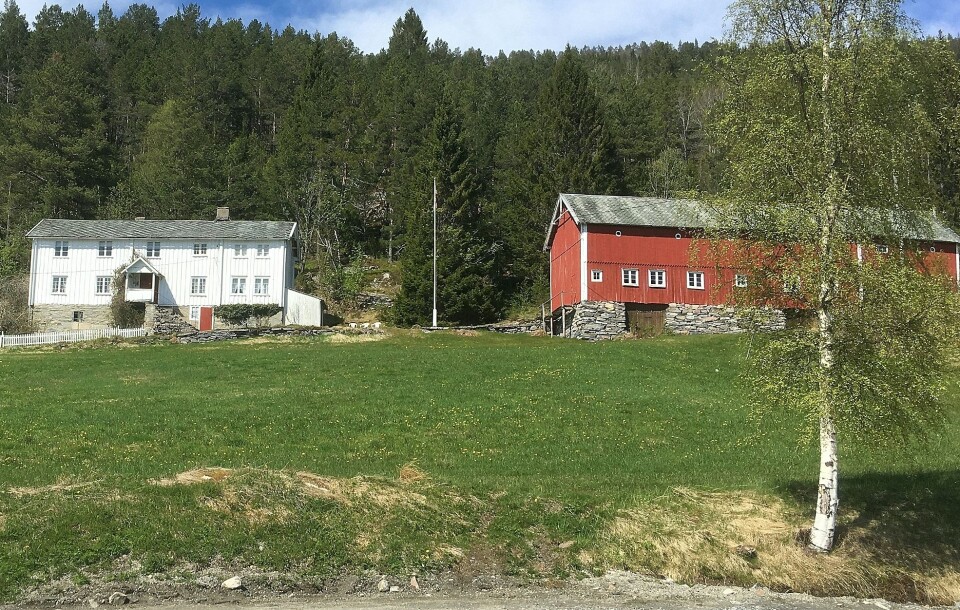 Garden Flessa (Flesa) – no fråflytta.