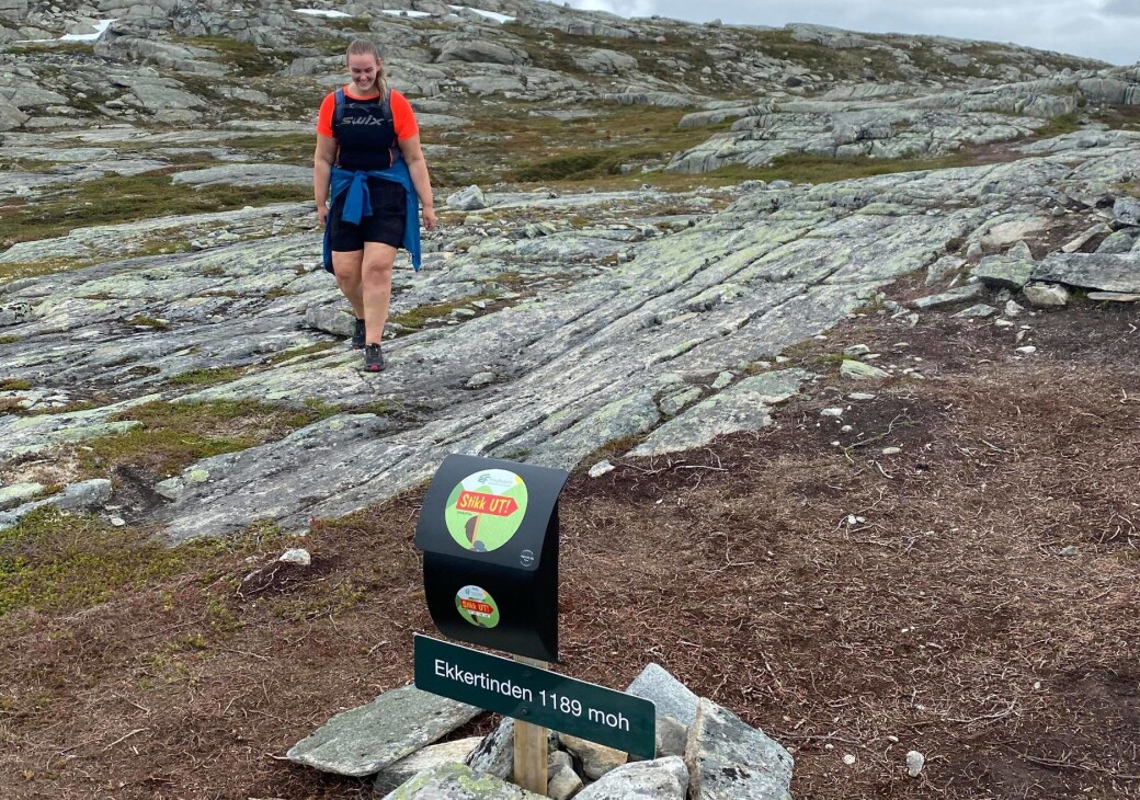Ihne på toppen av Ekkertind i Sunndal kommune i juli 2020 Ihne på toppen av Ekkertind i Sunndal kommune i juli 2020