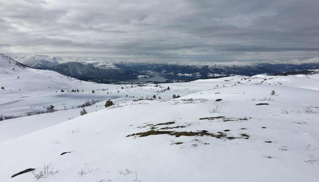 Flotte forhold, men snøen forsvinner raskt nå som det blir mildere Flotte forhold, men snøen forsvinner raskt nå som det blir mildere