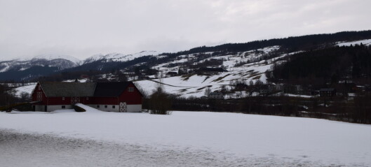 Er det kroken på fjøsdøra på mange gårdsbruk i Trøndelag sørvest? - Mangel på investeringsvirkemidler i jordbruket