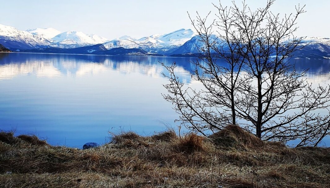 Flesastranda. Blikkstille fjord. #nordmøre Flesastranda. Blikkstille fjord. #nordmøre