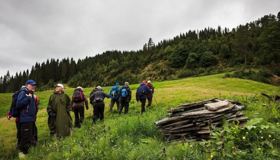 Fjellgruppa Surnadal pensjonistlag 2020