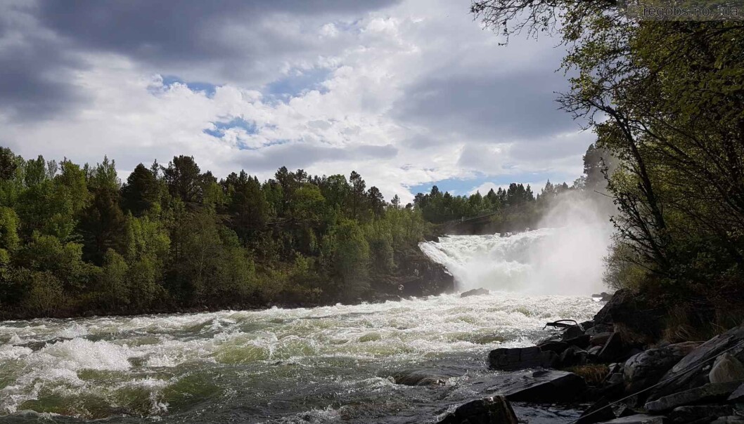 Illustrasjonsbilde fra Lillefossen i Kværnegna, juni 2020. Illustrasjonsbilde fra Lillefossen i Kværnegna, juni 2020.