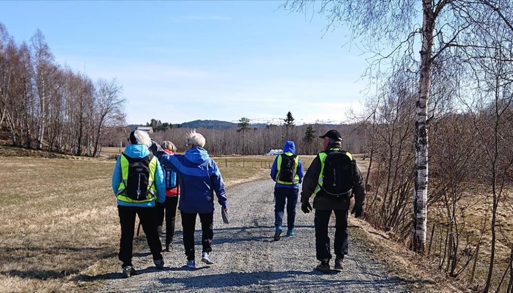 Arkivfoto fra kløvertur i Bulludalen Arkivfoto fra kløvertur i Bulludalen
