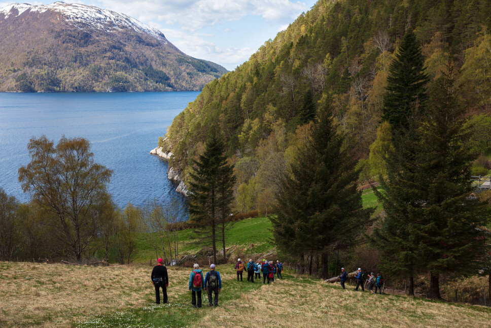 Kvalnesvika