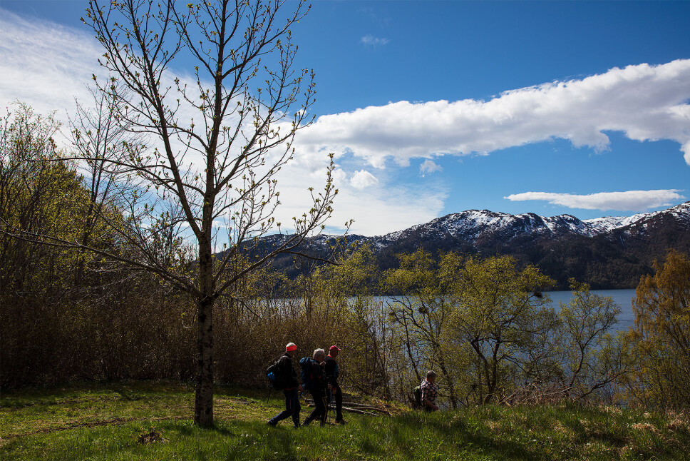 Kvalnesvika.