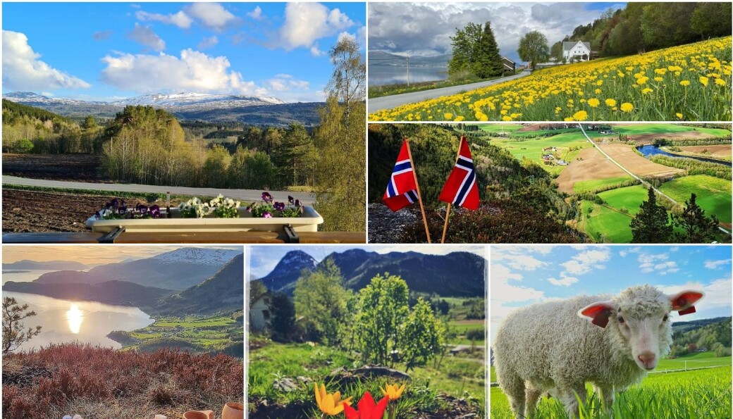 Flotte bilder fra våre lesere Flotte bilder fra våre lesere