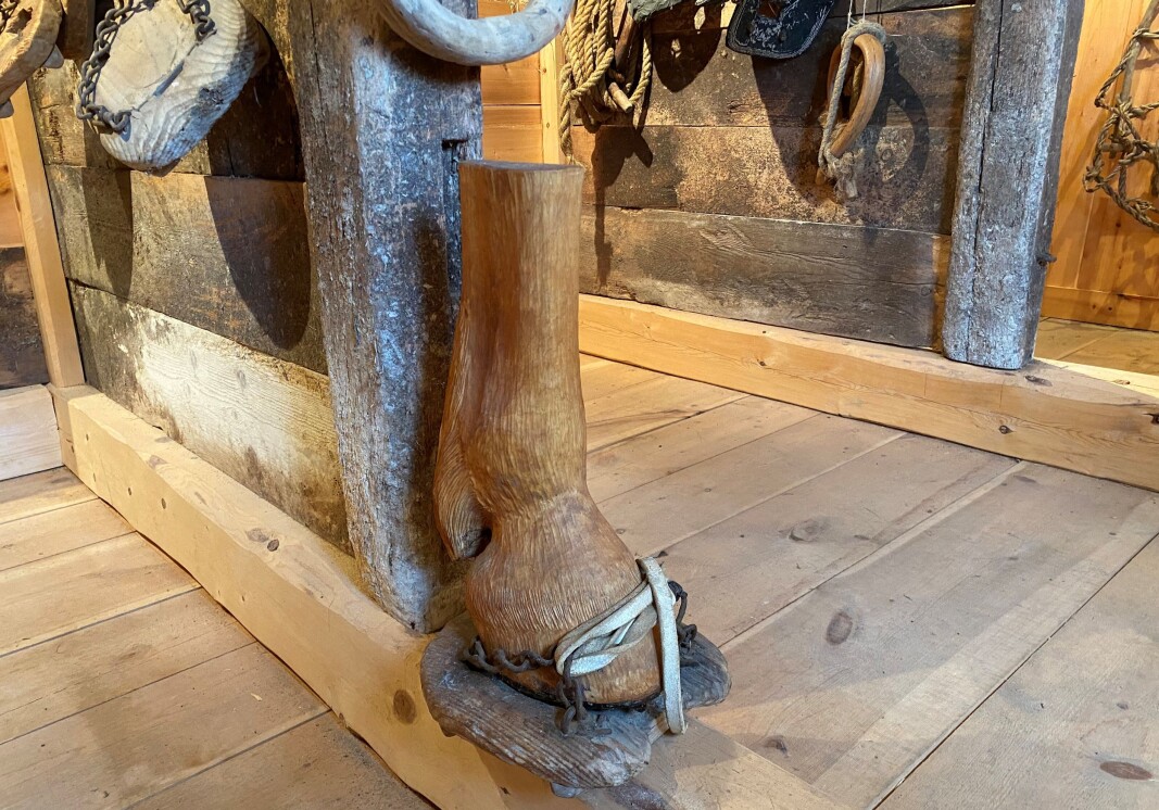 Ola L. Løfaldli var en viktig bidragsyter til museet. Her en hestefot som han har skåret ut i tre. Ola L. Løfaldli var en viktig bidragsyter til museet. Her en hestefot som han har skåret ut i tre.