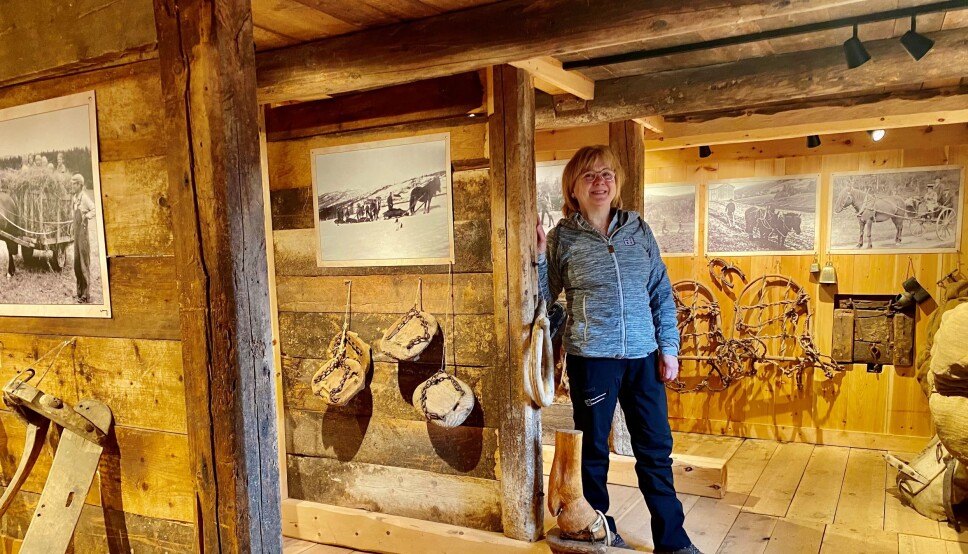 Samling av gammelt hesteutstyr i stallen er også en av årets nyheter på skimuseet.