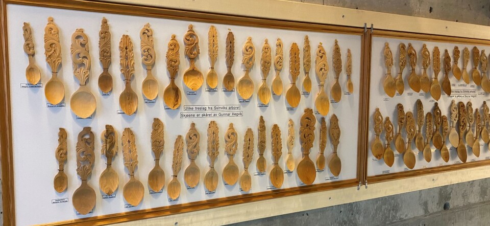 Disse skjeene fra Gunnar Hegvik har vært i museets eie i noen år allerede.