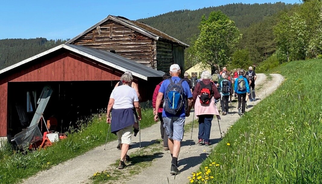 Stavgang Haltbakken Stavgang Haltbakken