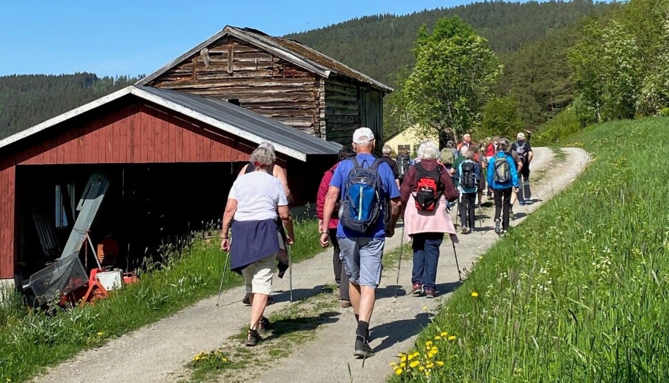Stavgang Haltbakken