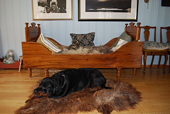 Katten Po og Laffen. - Skinnet Laffen ligg på er av Ola; den første bekren på Grytnes. Var som ein hund han, og spesielt glad i å leike med stor gummiball, fortel Nanna. Katten Po og Laffen. - Skinnet Laffen ligg på er av Ola; den første bekren på Grytnes. Var som ein hund han, og spesielt glad i å leike med stor gummiball, fortel Nanna.