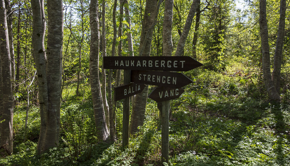 Det vart varmt på Strengen i dag