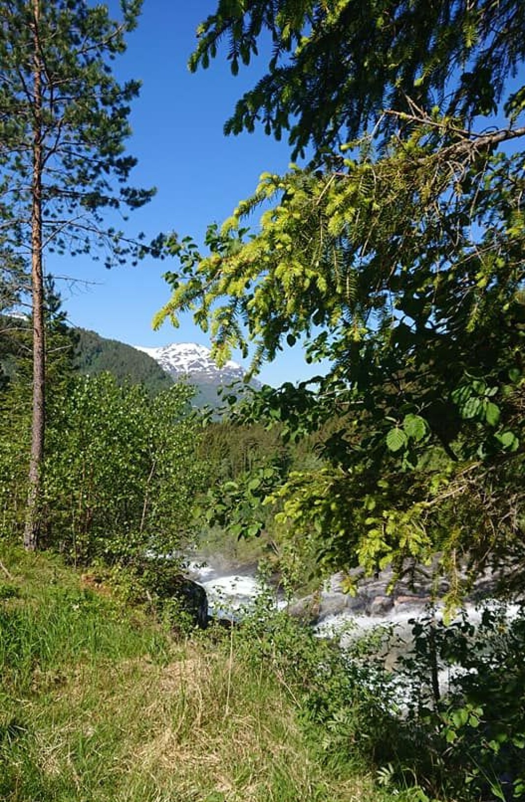 Vakkert i Todalen Vakkert i Todalen