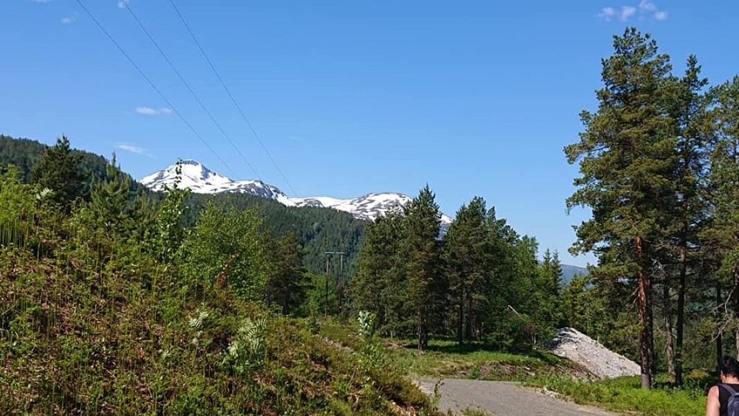 Knallblå himmel Knallblå himmel