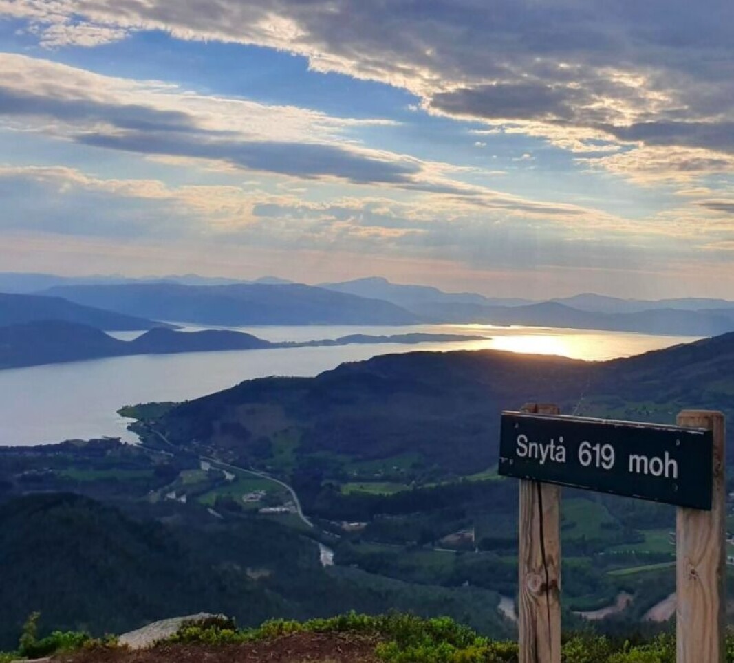 Fin kveldstur Fin kveldstur