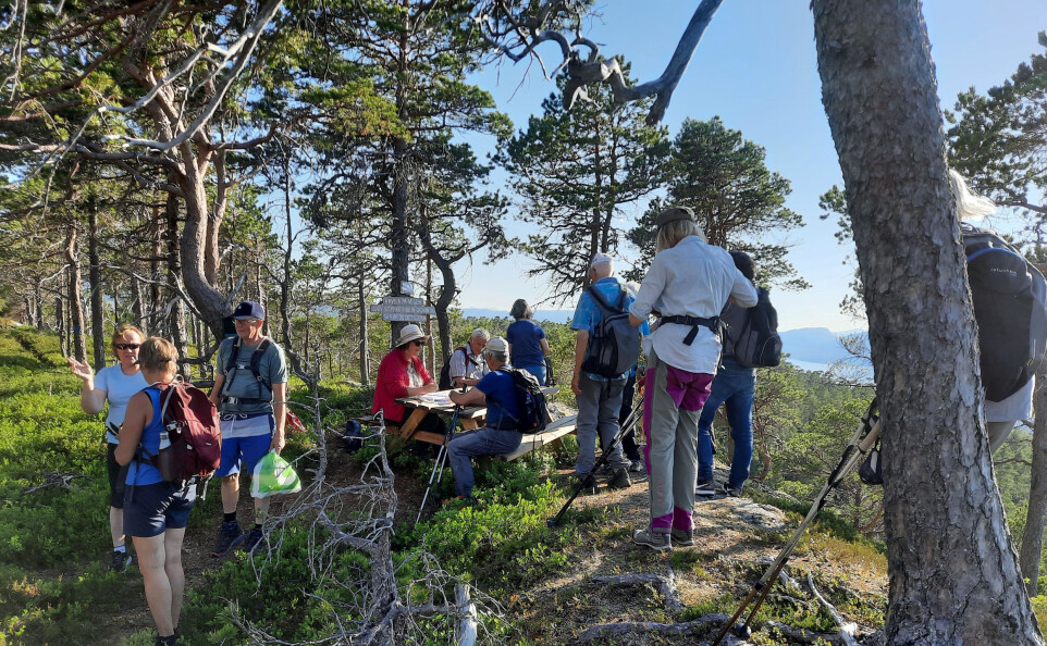 Opning av «Bloddråpetrallen»- rasteplass på toppen av Årneslia