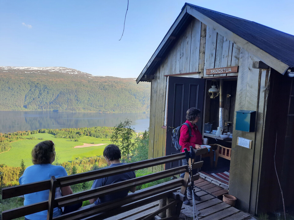 Skogstua.