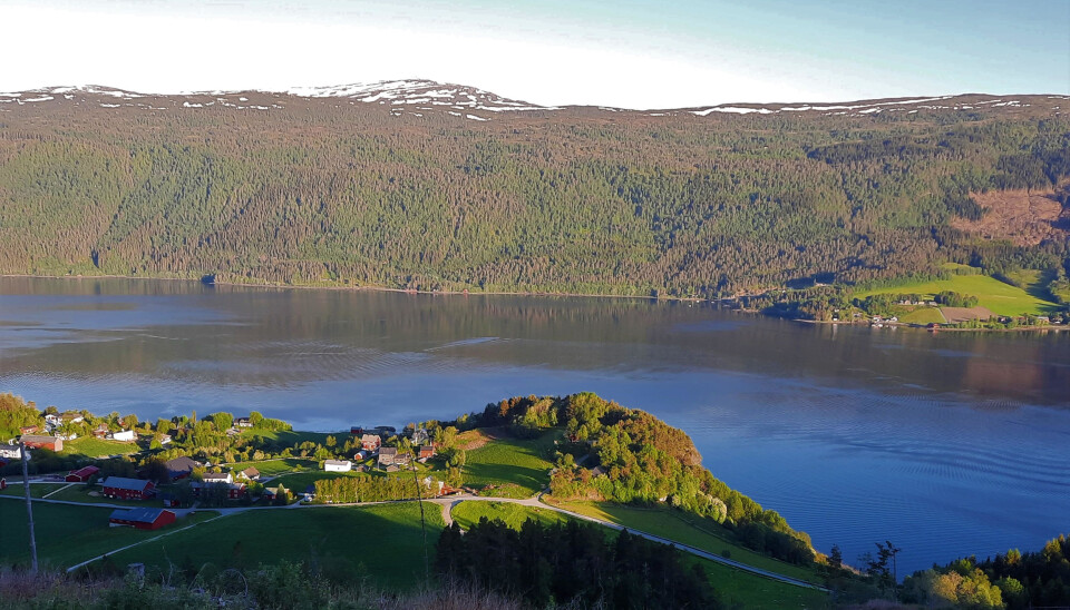 Årnes.