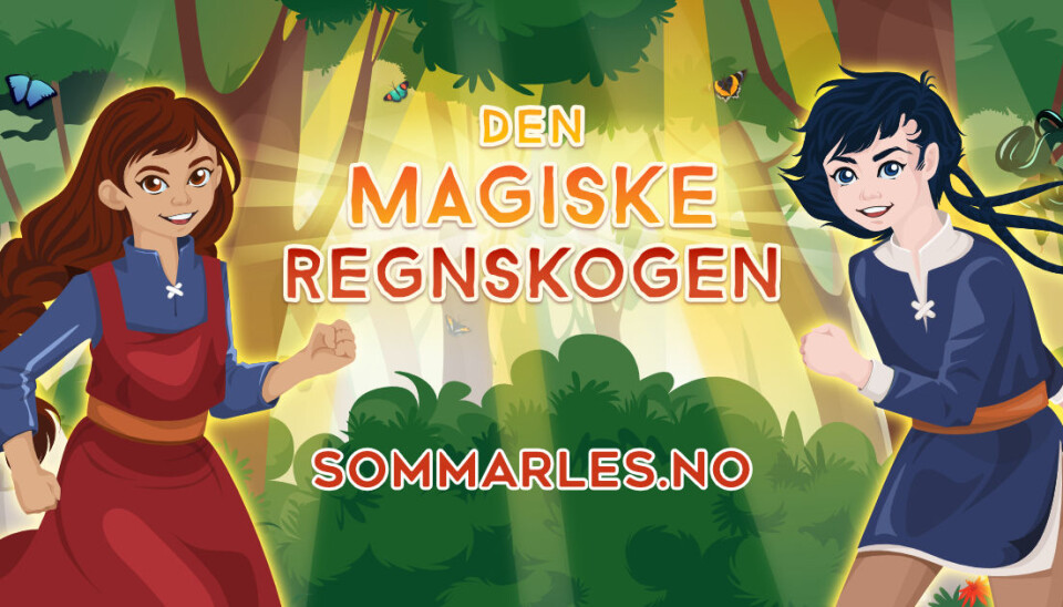 Meldingar frå Surnadal bibliotek
