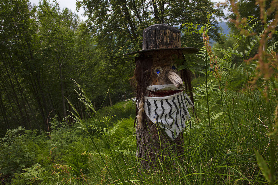 Fjærlitrollet