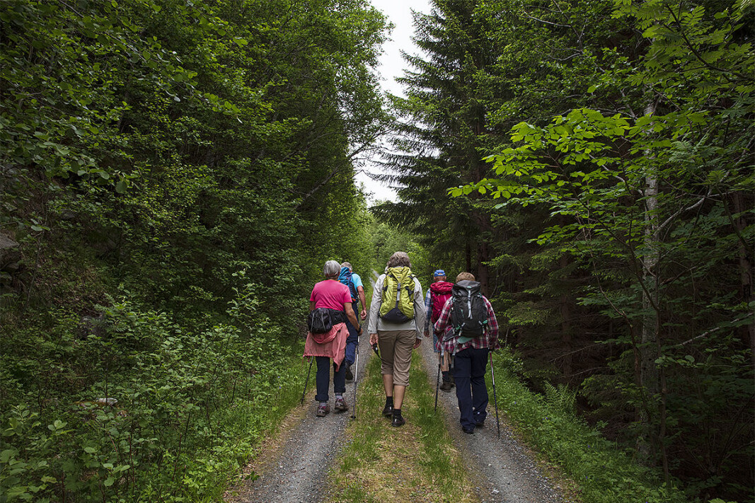 Oppstart fra Fjærli Oppstart fra Fjærli