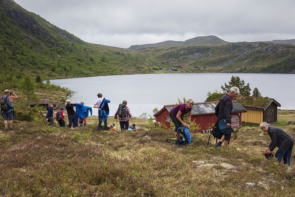 Matpause ved Fjærlivatnet