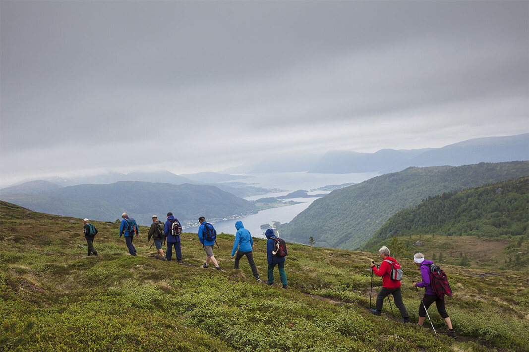 Mot toppen av Møkkelfjellet Mot toppen av Møkkelfjellet