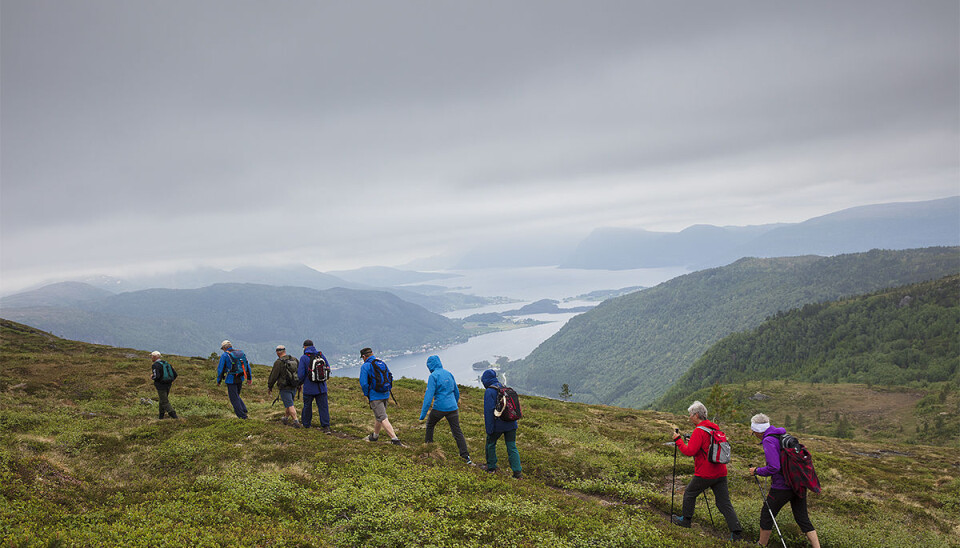Mot toppen av Møkkelfjellet Fjellgruppa