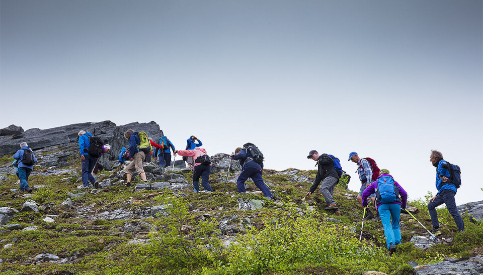 Bli med Fjellgruppa oppå Svarthammaren