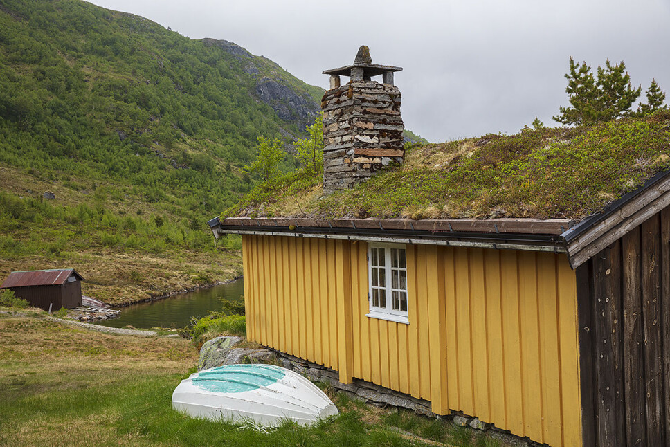 Flott murpipe ved Fjærlivatnet