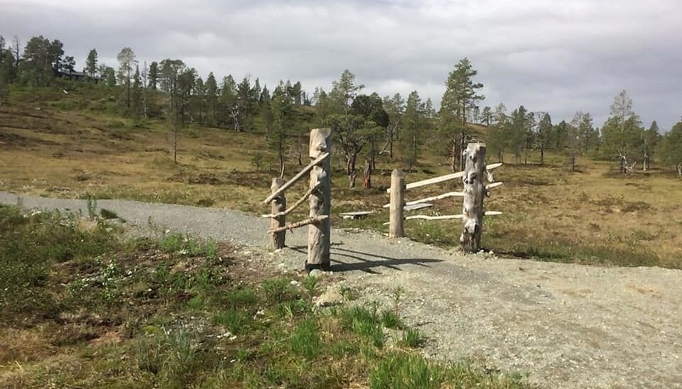 Kløvertur i fint vær