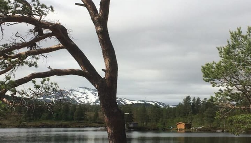 Kløvertur i fint vær
