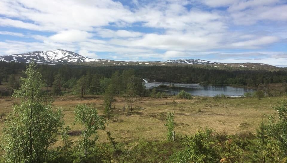 Kløvertur i fint vær