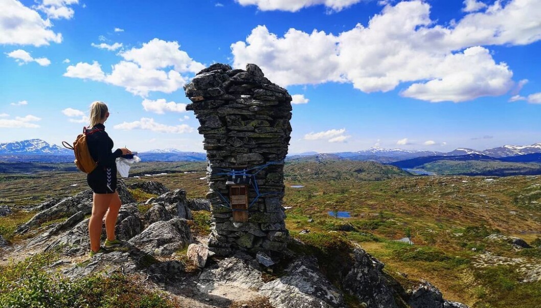 Kufjellet på Østre Nordmarka. Kufjellet på Østre Nordmarka.