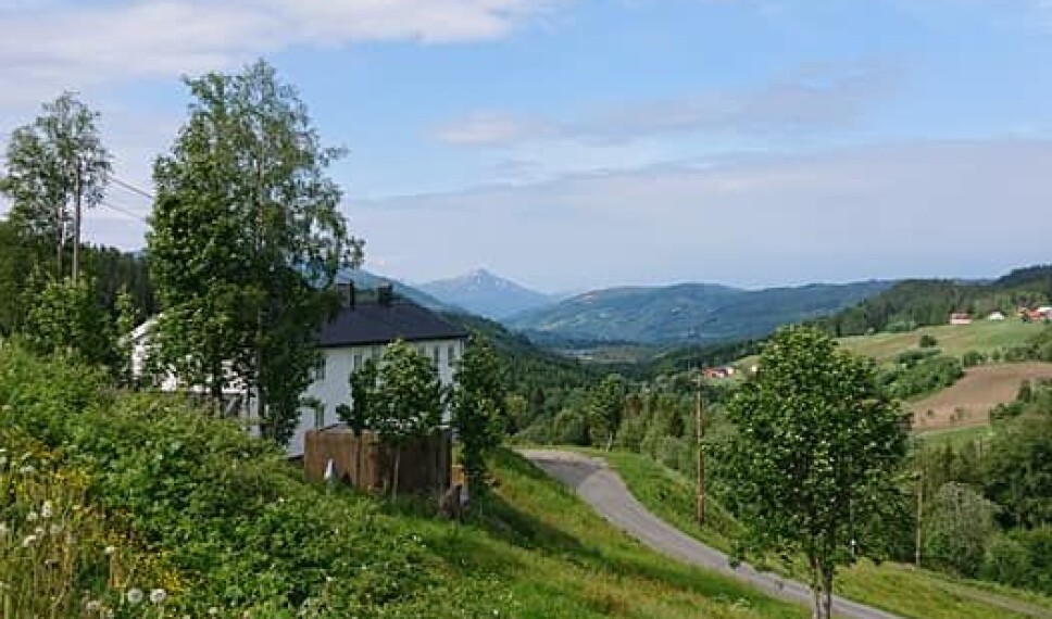 På veg opp mot Grønligardene.