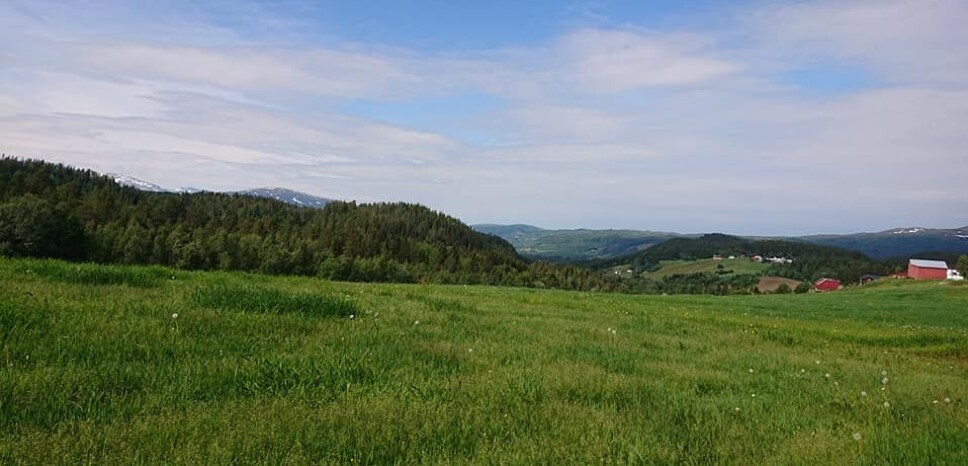 Utsikt over bygda.