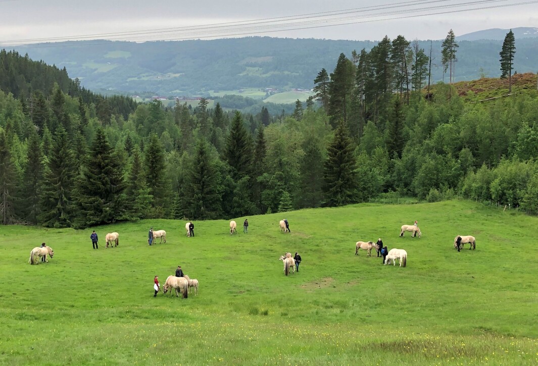 Alle er klare. Alle er klare.