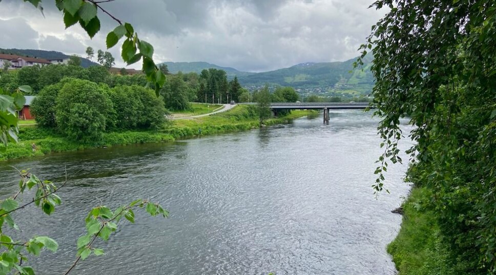 Oppsummering laksefisket i Surna uke 24