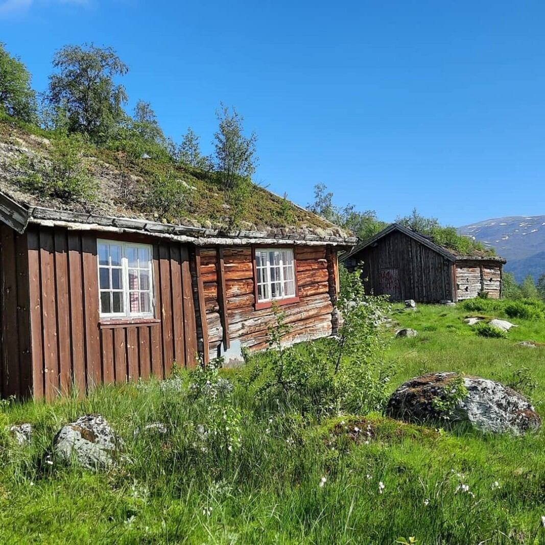 Tur til Eiterdalsetra, og videre opp til Eiterdalsvatnet. #trollheimen Tur til Eiterdalsetra, og videre opp til Eiterdalsvatnet. #trollheimen