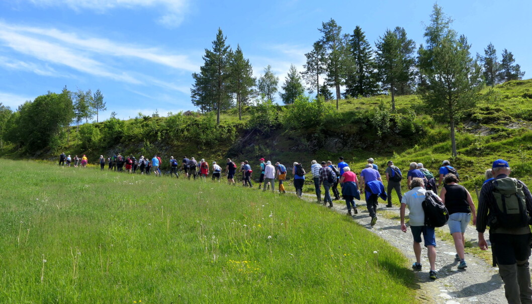 Mange på vandring Mange på vandring