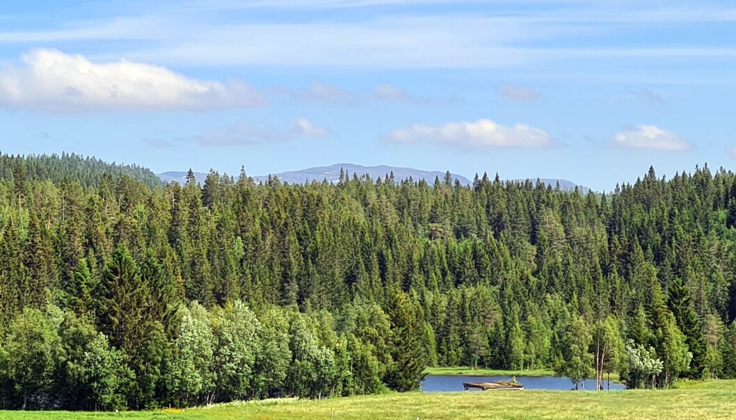 Svervatnet, vi ser taket av ein gapahuk ved vatnet. Svervatnet, vi ser taket av ein gapahuk ved vatnet.