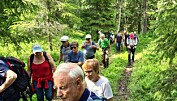 Allmannvegen til Romundstadbygda. Allmannvegen til Romundstadbygda.