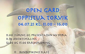 Open gard i Oppistua Torvik søndag