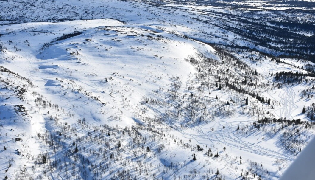Spor etter ulovlig skuterkjøring i Budal i april 2021. Spor etter ulovlig skuterkjøring i Budal i april 2021.