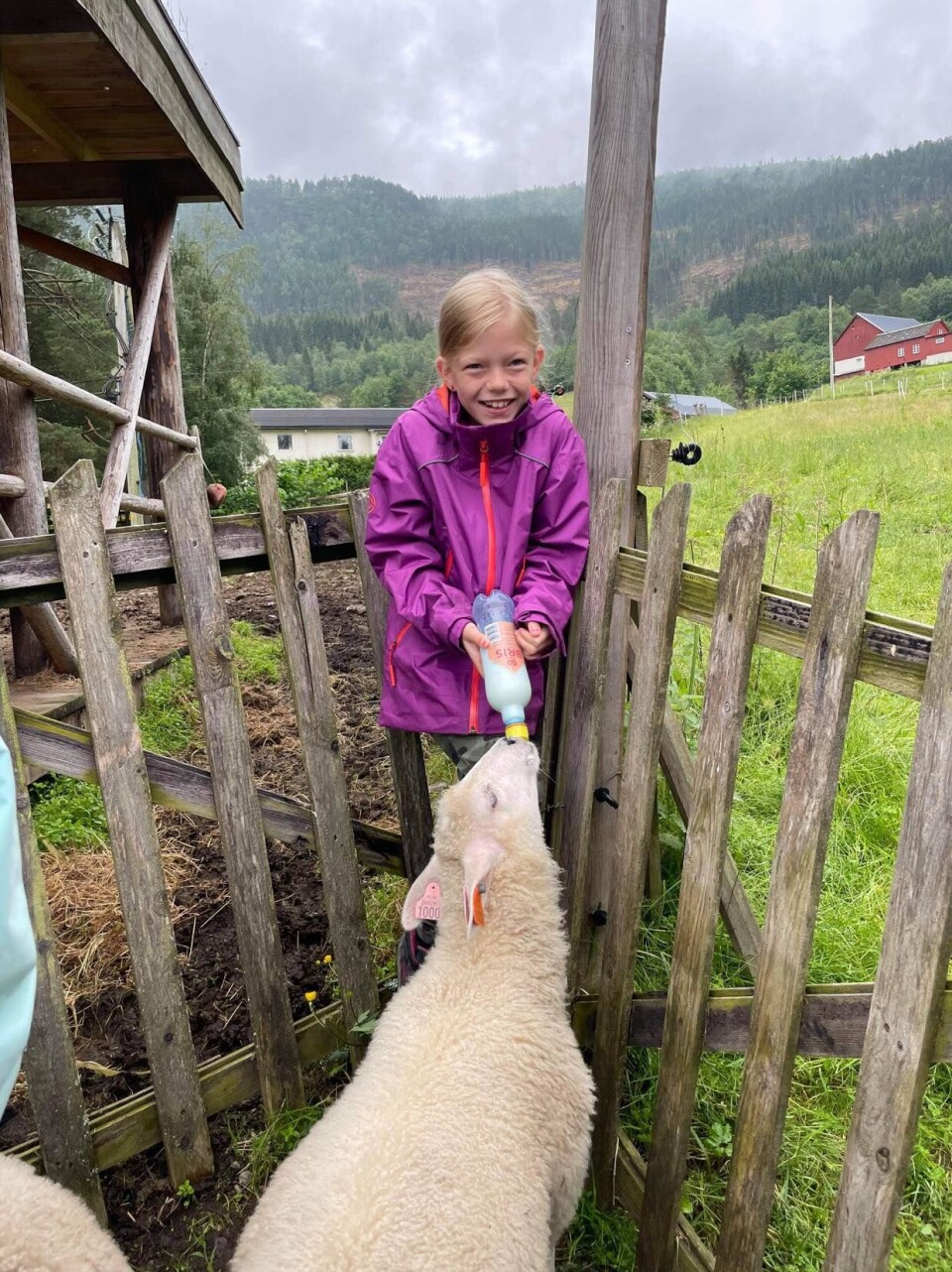 Foto: Siv Torvik