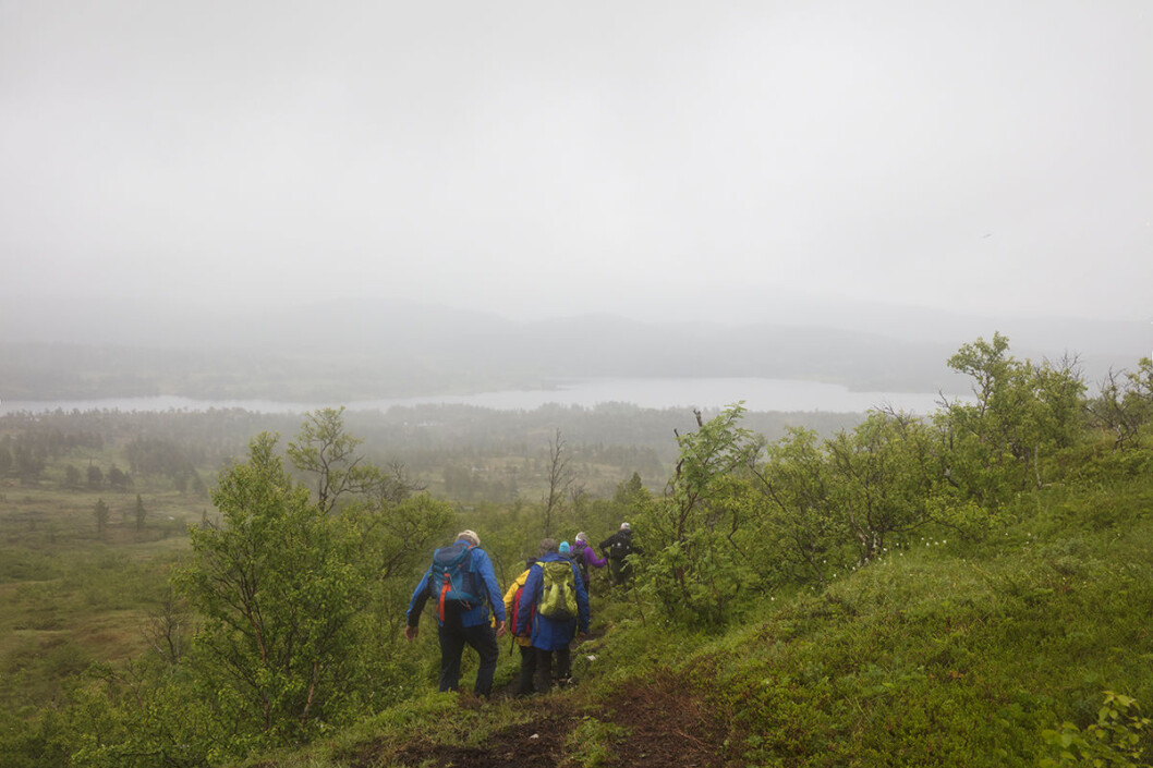 Utsikt mot Langvatnet Utsikt mot Langvatnet