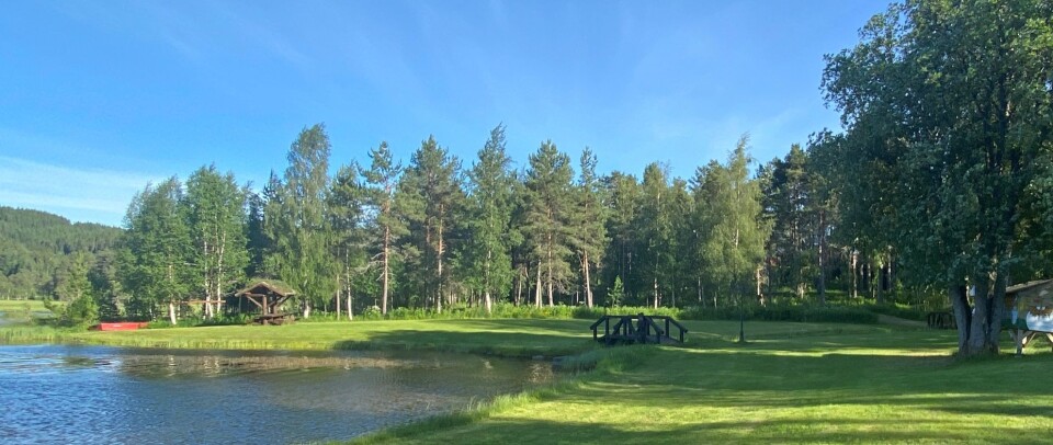 På dette området blir det festivalcamp, med telt og hengekøyer.