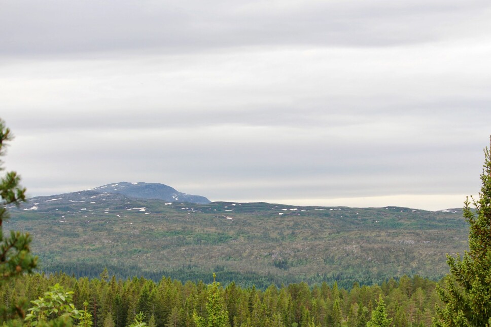 Utsikt fra Haralds lunsjplass på Tiursåsen, her kunne han se hytta Jobo. Den vises så vidt helt til høyre i bildet. Helt til venstre Gaddfjellet og bak det, Bolmtrollhøtta.